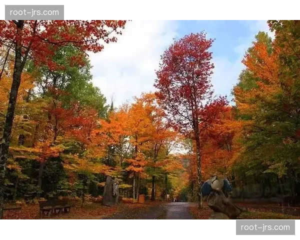 瑞士加拿大十字军团枫叶对决 扎卡中场控制面临东道主高位逼抢